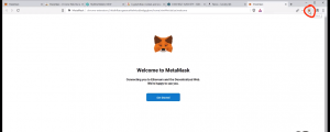 Het fox-logo verschijnt in uw browser zodra de extensie met succes is geïnstalleerd
