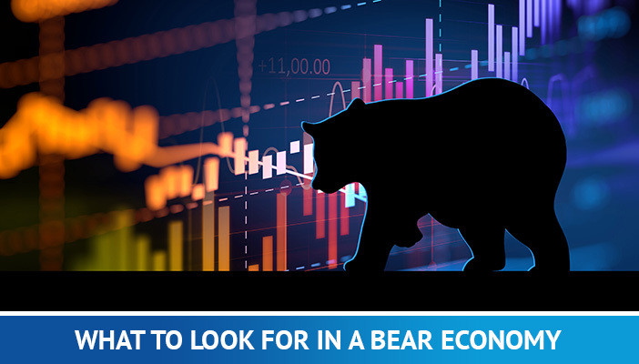 medvědí trh