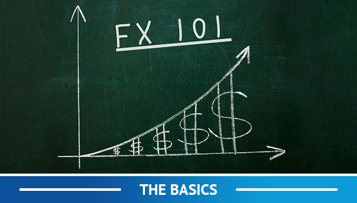 FX basics, hoe u geld kunt verdienen met forex handelen